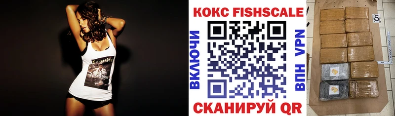 Кокаин FishScale  shop как зайти  Светлогорск  мега ссылки 