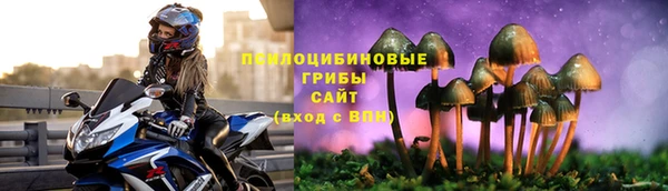 крисы Аркадак