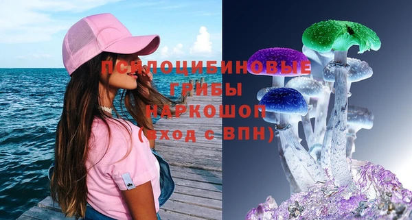 крисы Аркадак
