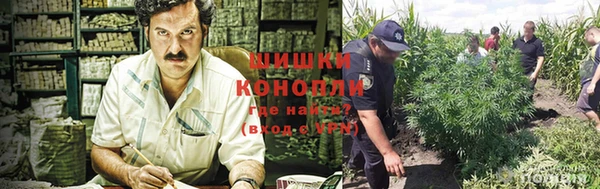 спиды Арсеньев
