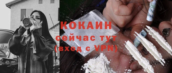 крисы Аркадак